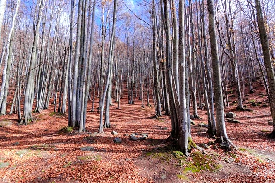 Viandanti, Artisti e Sognatori