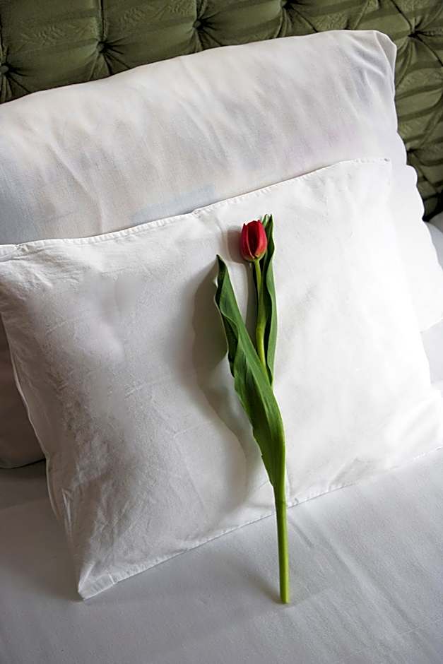 Várfal Wellness Panzió