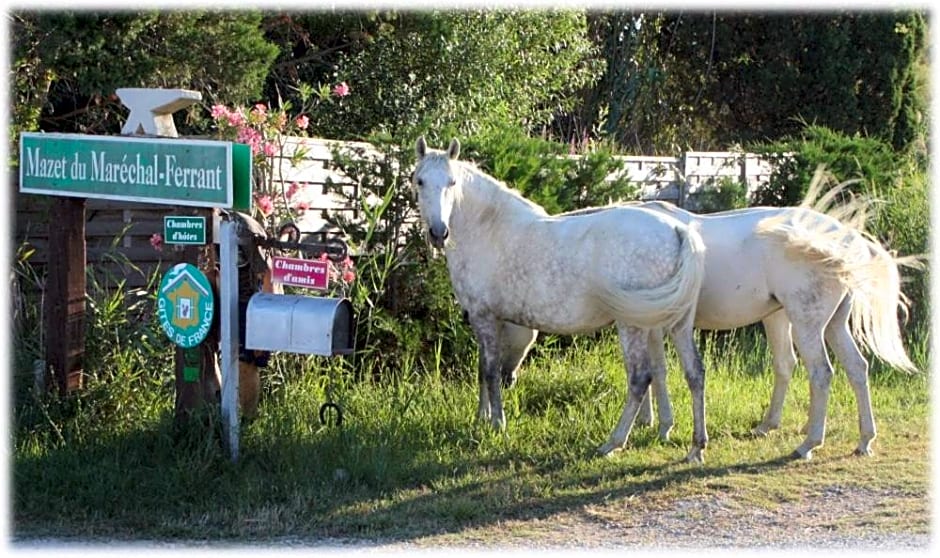Gites Chambres d'hotes Mazet du Maréchal Ferrant
