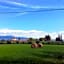 Dolce Lago B&B