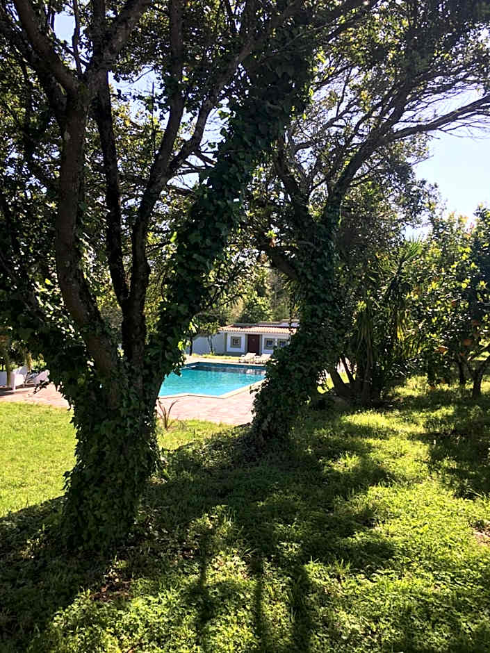 The Hideaway at Quinta de Moçamedes - Suites & Apartments