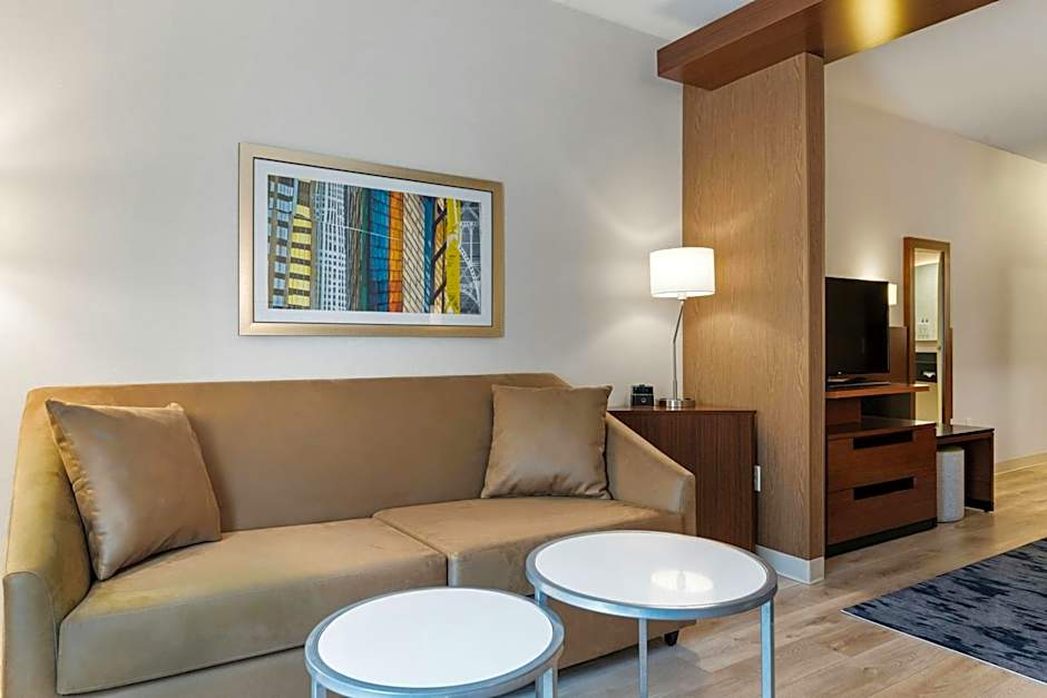 Photo 1 of 9 of 1 King Bed with Sofabed Suite, Hearing Accessible