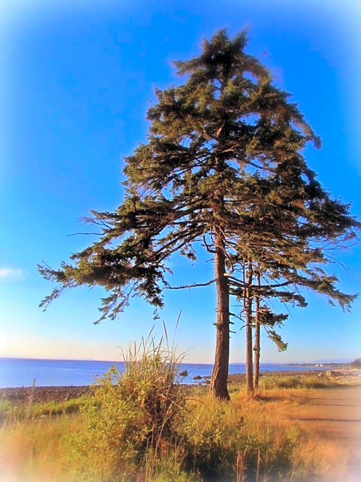 Heron's Landing Hotel