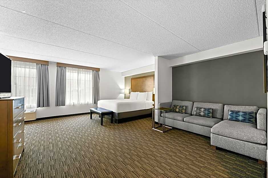 Photo 1 of 8 of Studio 1 King Bed Suite