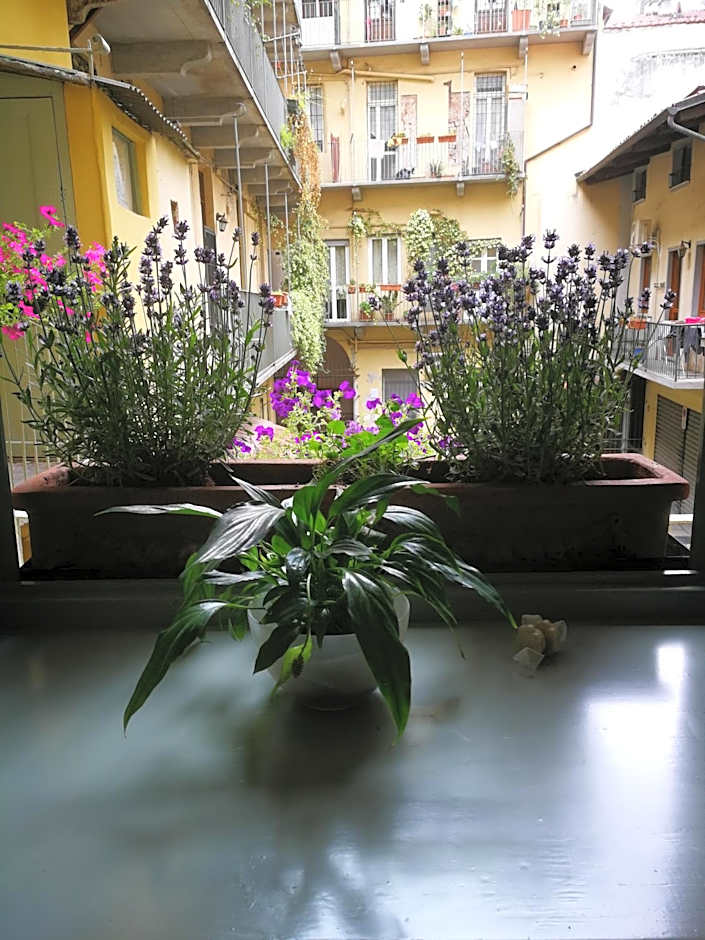 Corte delle Camelie Bed and Breakfast