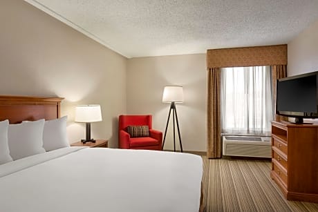 1 King Bed, Suite, Nonsmoking