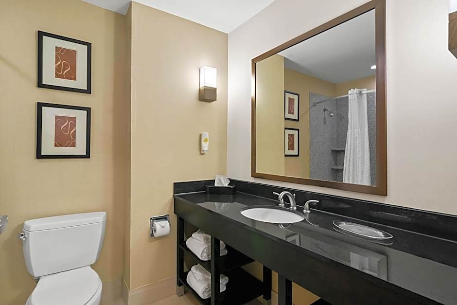 Comfort Suites Bentonville - Rogers