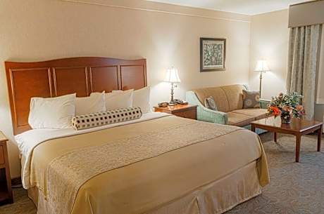 Queen Room with Sofa Bed - Pet Friendly/Ground Floor/Non-Smoking