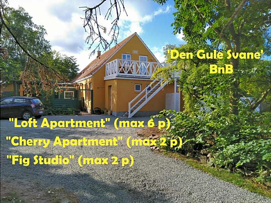 The FIG Studio - "Den Gule Svane" Guest House - near Rønne & Beach