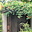 AHN LUH Zhu Jia Jiao