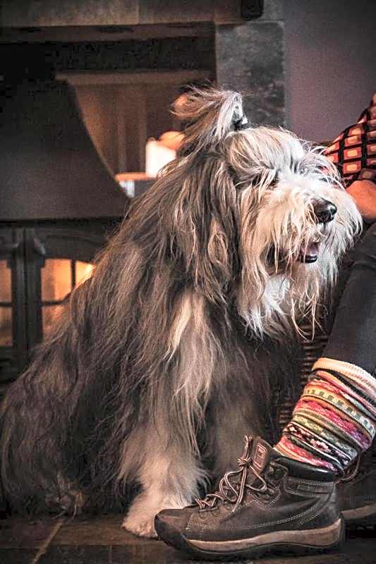 The Angus Hotel & Spa