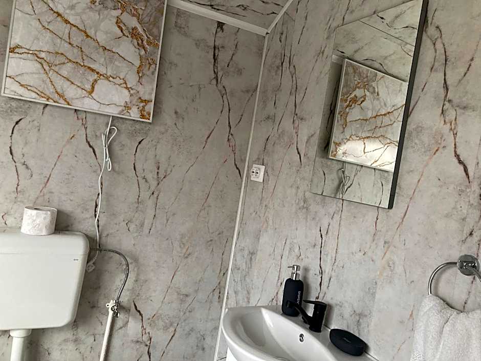 Cabana doi mesteceni