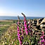 Ocean View Guestrooms