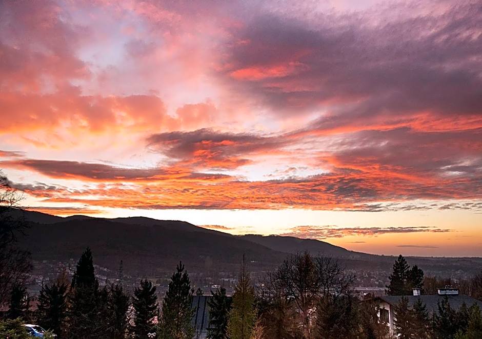 Cezar Naturyzm Bielsko-Biała