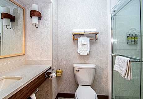 1 King Bed Standard Walk-In Shower