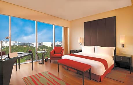Deluxe City View Room king bed