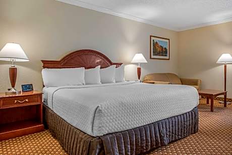 King Room - Accessible/Non-Smoking
