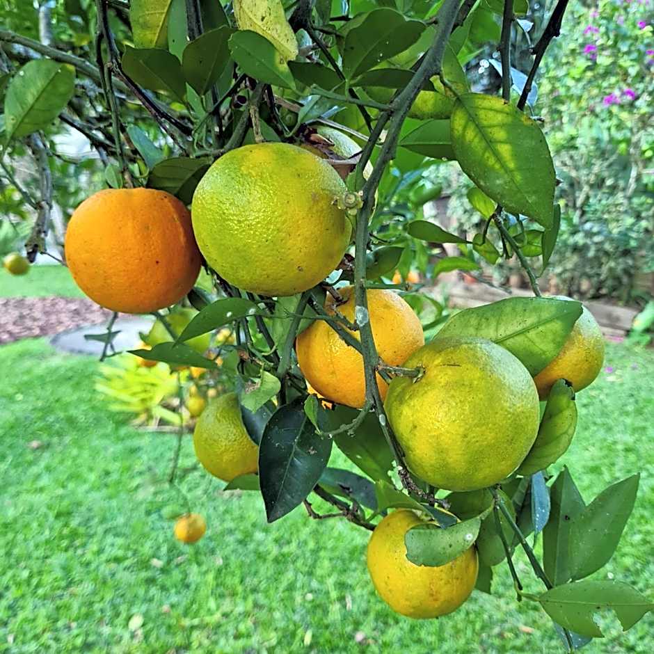 Pousada Remanso do Rio Preto