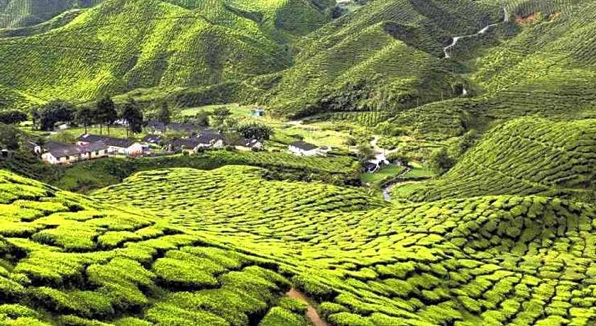 New Wave Rawang Star Hotel