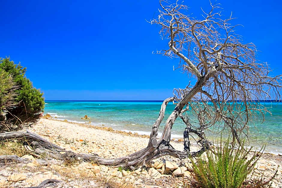 Residence con piscina a Sos Alinos