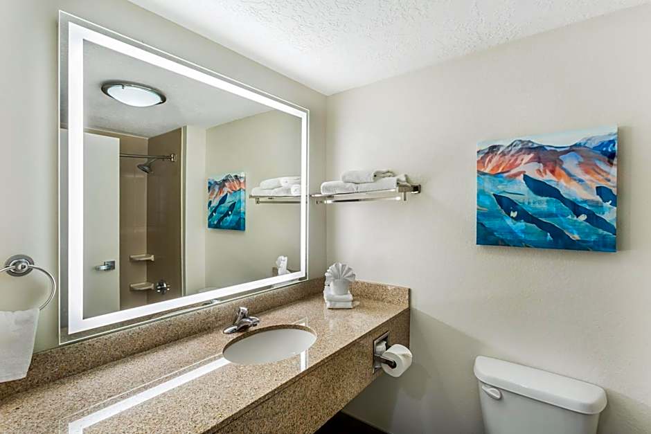 Best Western Plus Airport Inn & Suites