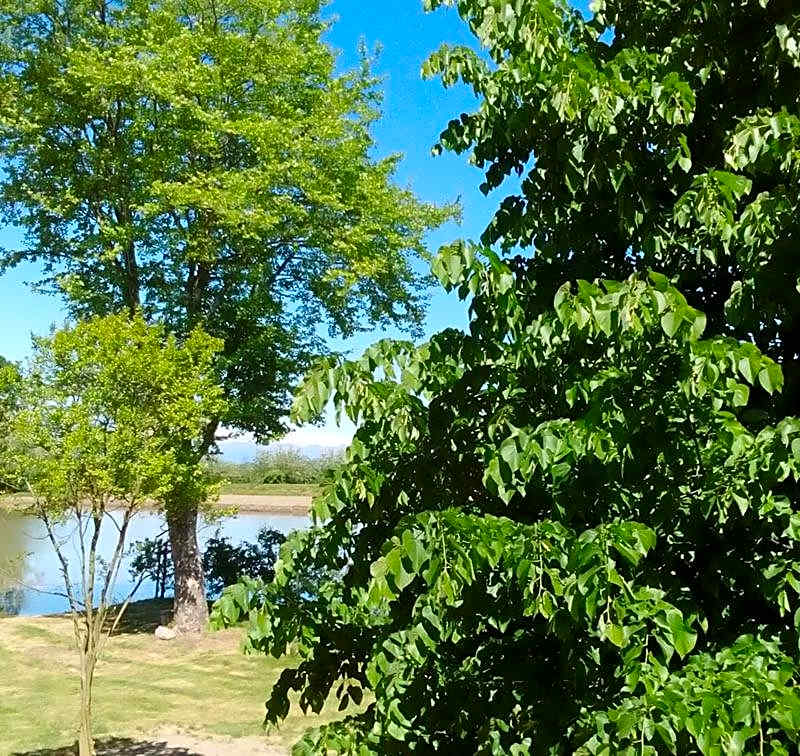 B&B Cascina Baraggione