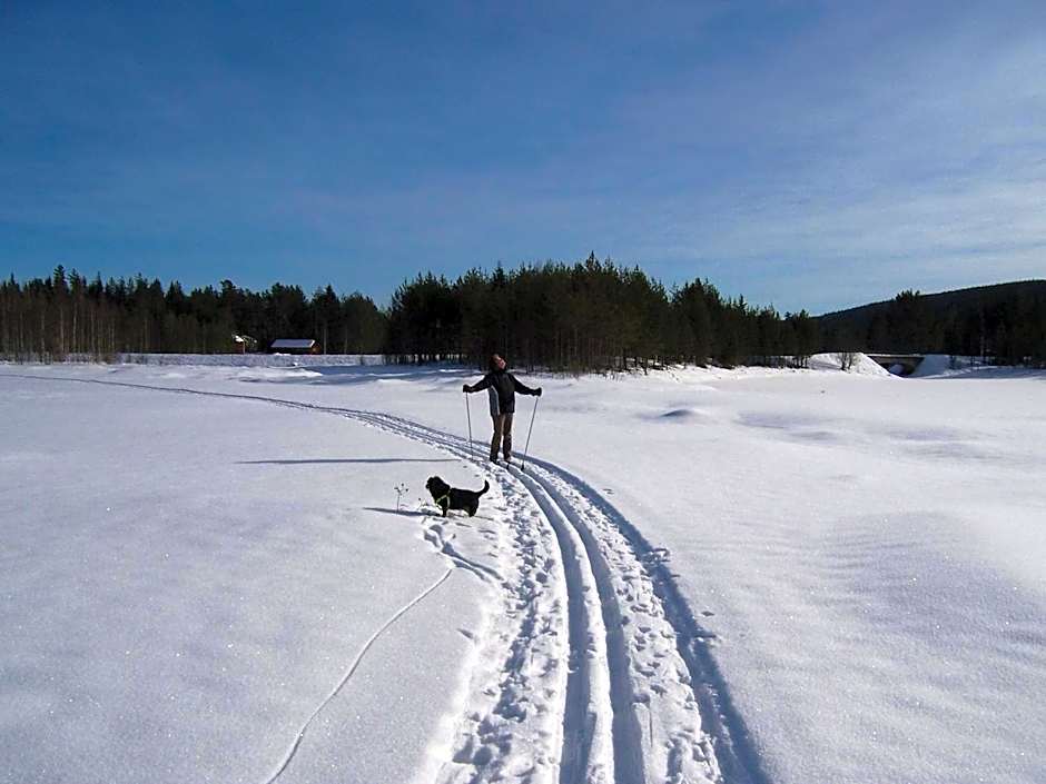 Nya Skogsgården Hostel