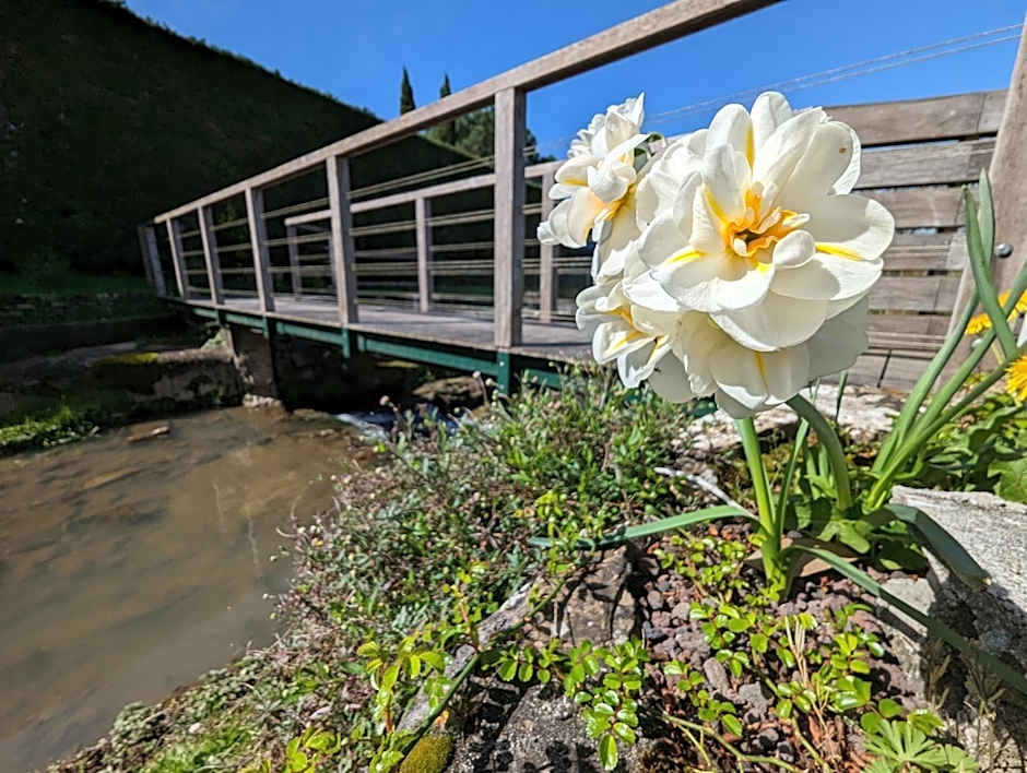 Logis Auberge du Relais