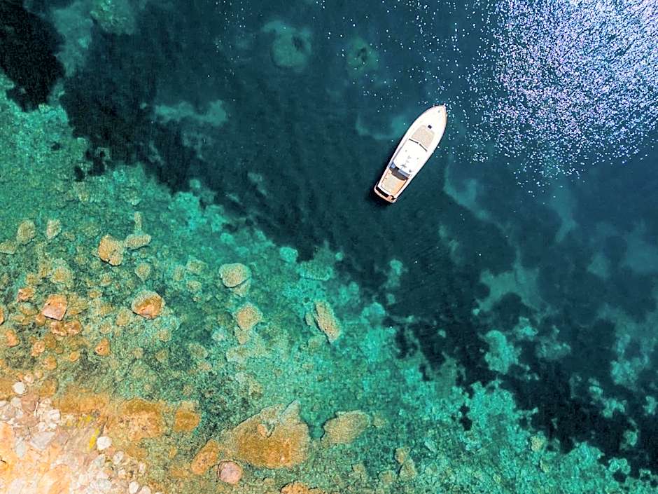 Il Pellicano