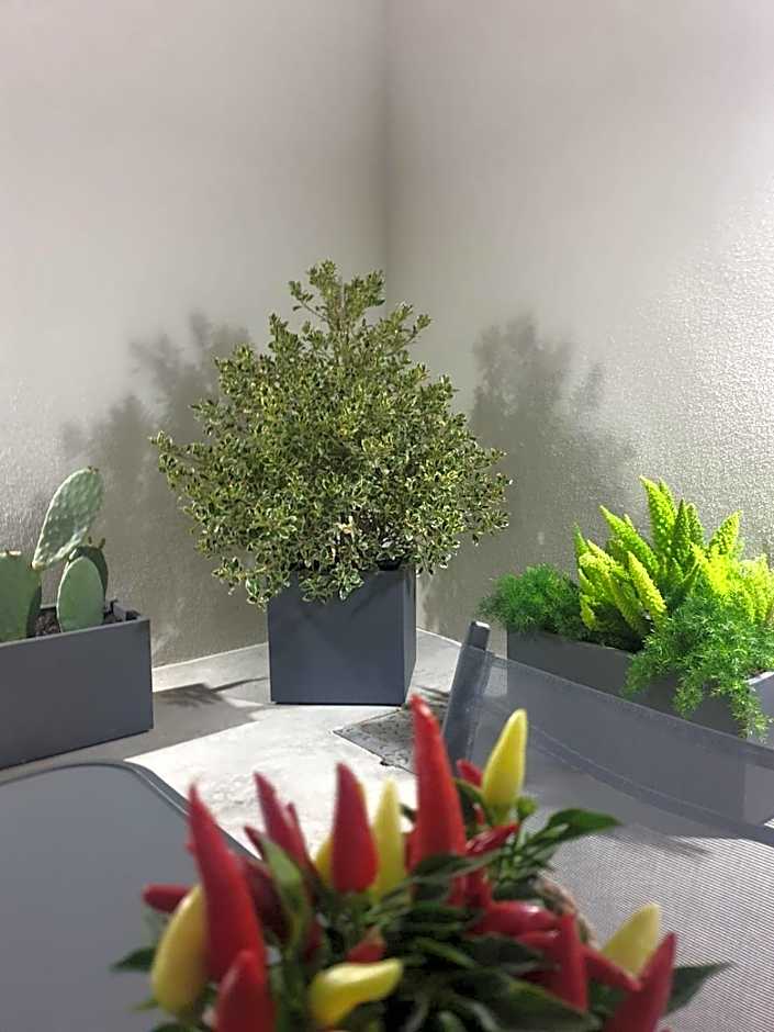 Casa MIMI Aparthotel