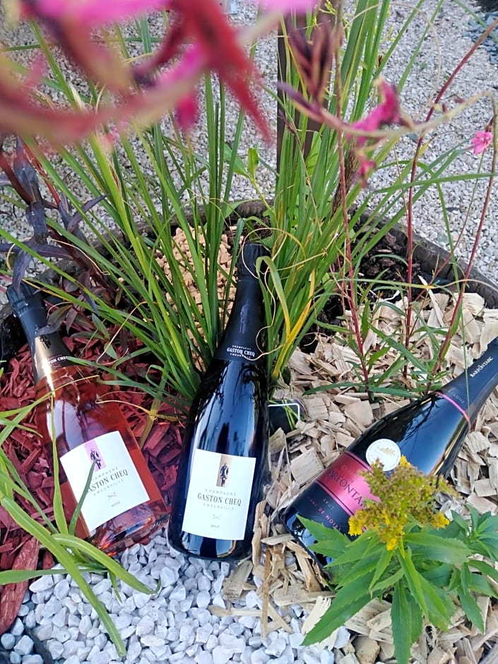 l'échappée belle en Champagne