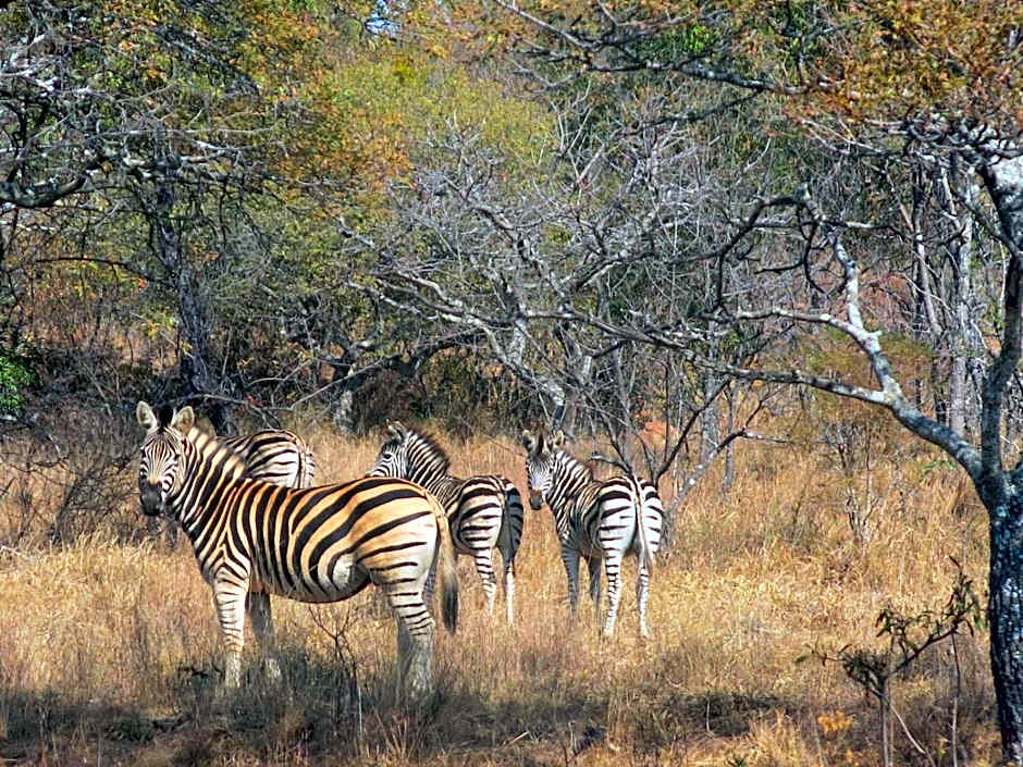 Lindani Game and Lodges