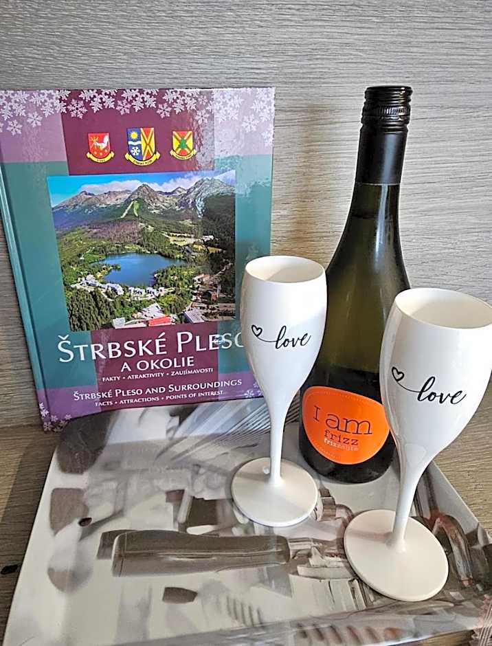 Hotel Ovruč - rodinný apartmán 111