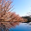 Yoshinosou-Yukawaya