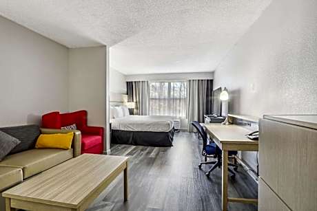 Studio Suite