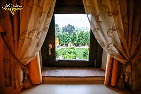 Large Single Room