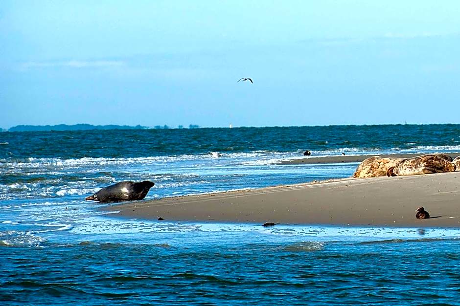 INSEL-LAND-HOTEL MICHAELSEN -Boutique Hotel- im Ostland mit Yoga u Sauna