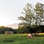 A Mighty Oak B&B