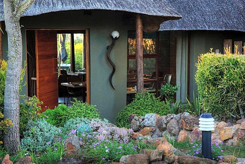 Addo Elephant Safari Lodge - Bellevue Forest Reserve