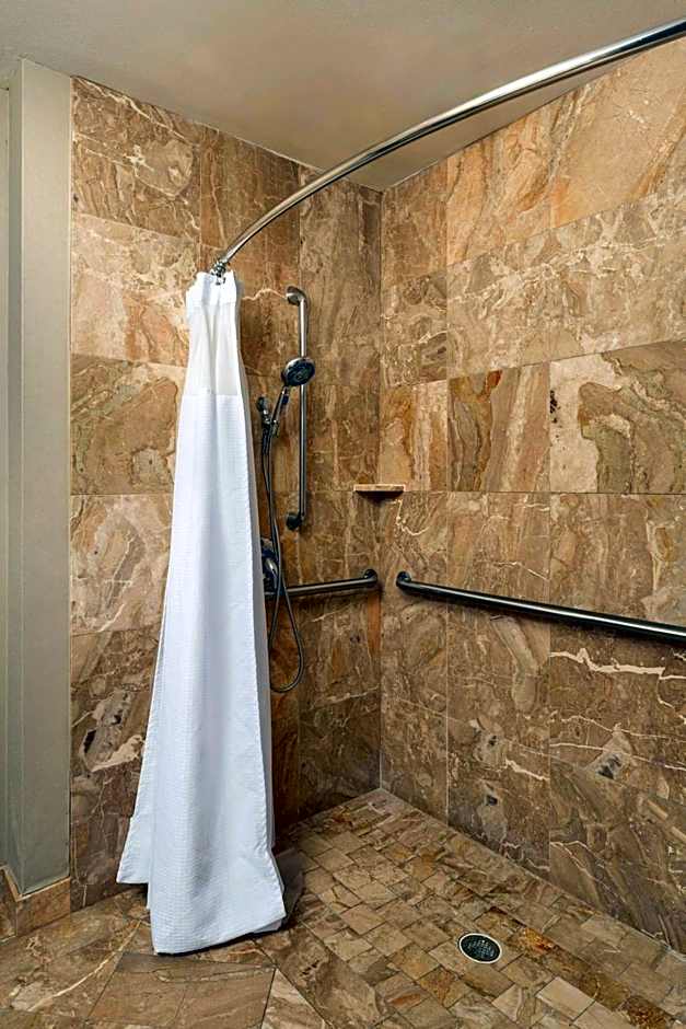 SpringHill Suites by Marriott Tampa Westshore Airport