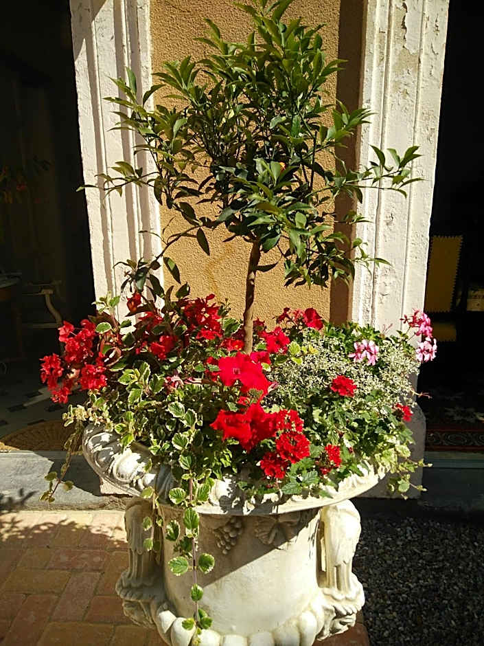 La Maison des Palmiers