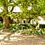Domaine de Planchoury