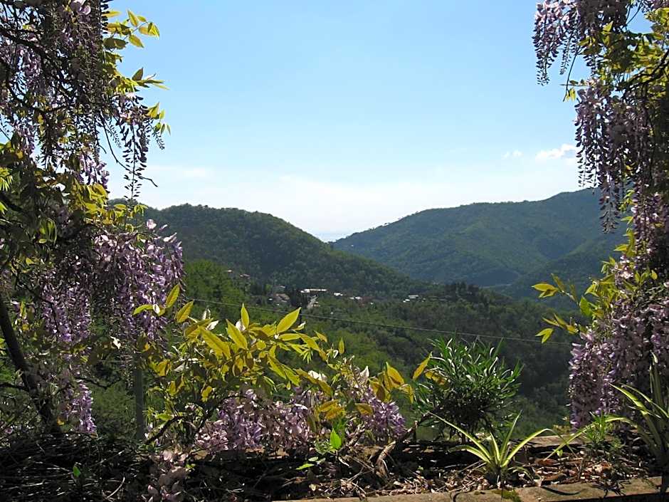 B&B I Glicini