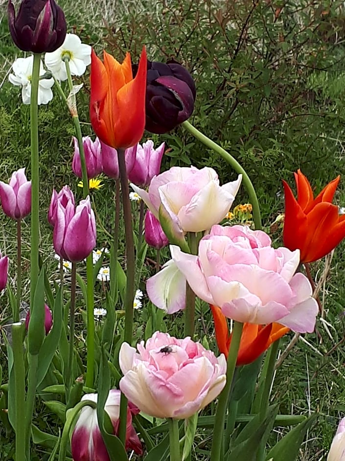 Tullaleagan Guesthouse