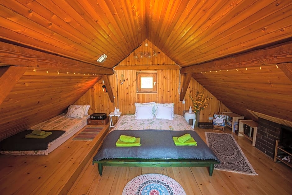 Na Okić - a private forest oasis