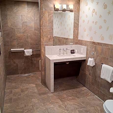 Palm Accessible Suite