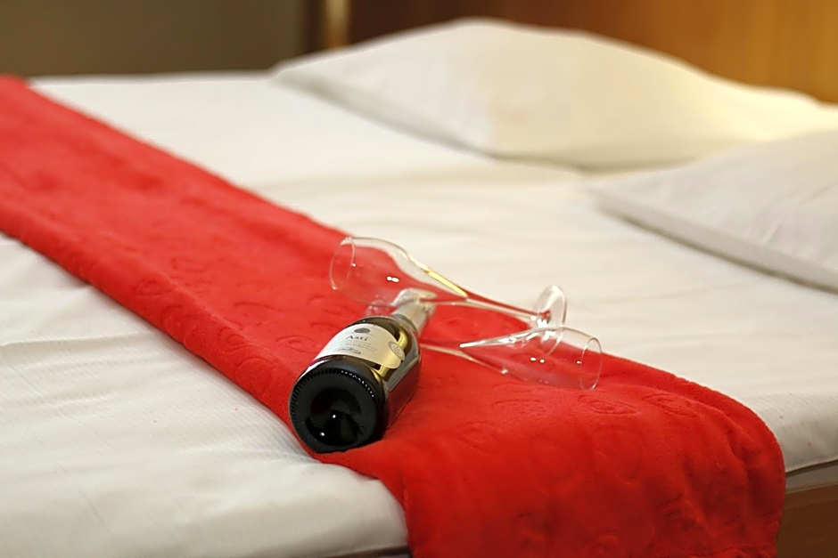 Hotel Krona Domžale