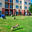 Residence Inn by Marriott Dallas Plano/The Colony