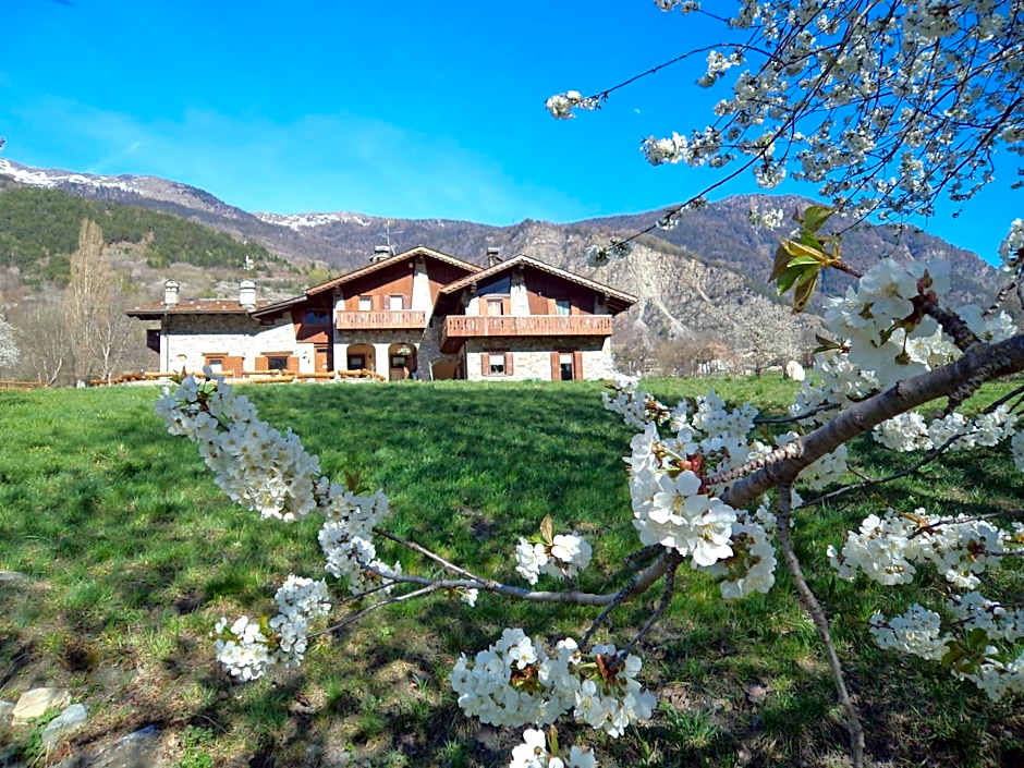 VillAmour Boutique Hotel & SPA