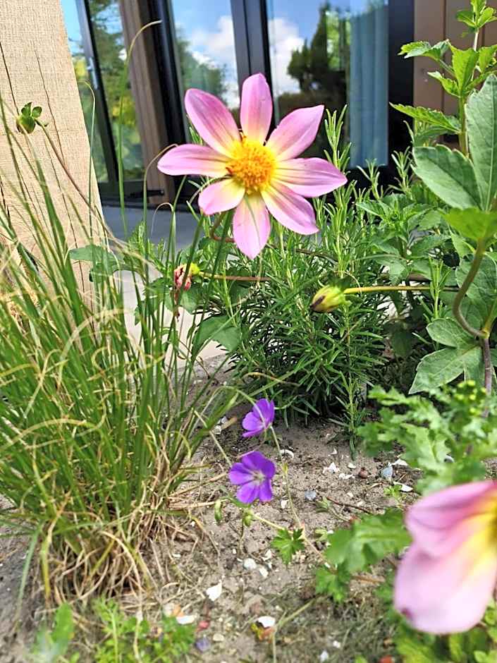 Bungalowpark Mooyeveld